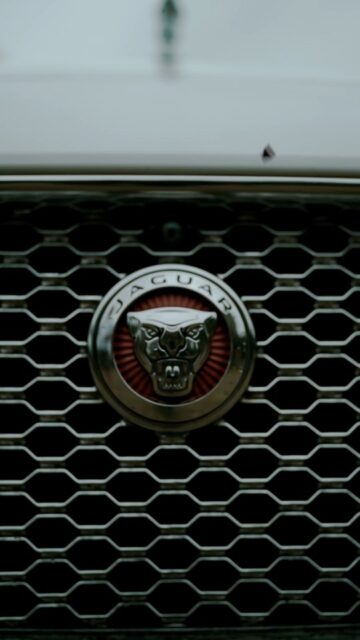 𝐉𝐚𝐠𝐮𝐚𝐫 𝐗𝐅 𝐏𝐨𝐫𝐭𝐟𝐨𝐥𝐢𝐨

Luxury cars for rent.. Make your trip memorable... ����

Rent it out
DM us for further details �
Inquire with us +91 94472 56707
#carrental #carrentals #luxurycars #weddingcars #wessingcar #thrissurinsta #thrissurvibes #marriage #phoyography #videography #weddingphotography #weddingdecor #weddingday #carlovers #rent #photoshoot #modern #brand